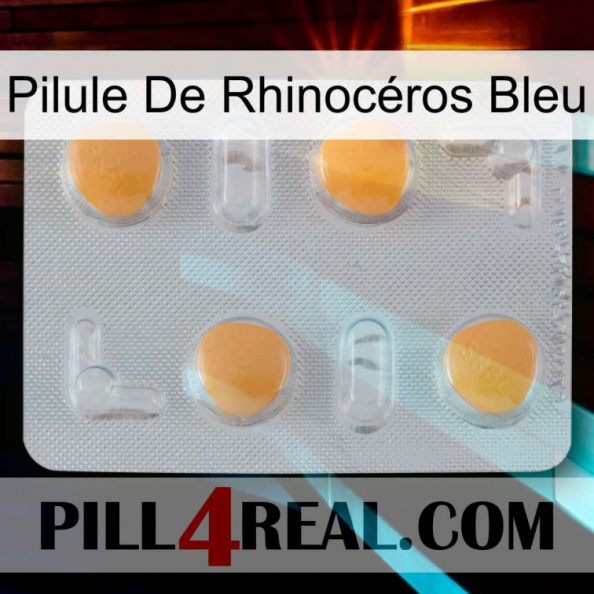 Pilule De Rhinocéros Bleu 24